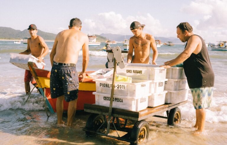 Beach Wagon